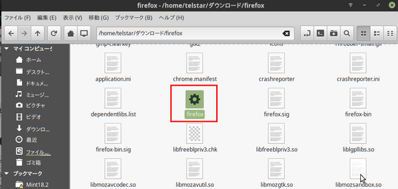 Mozilla Firefox ESR_4.png
