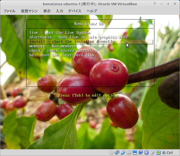 konaLinux ubuntu-1 [実行中] - Oracle VM VirtualBox_109.png